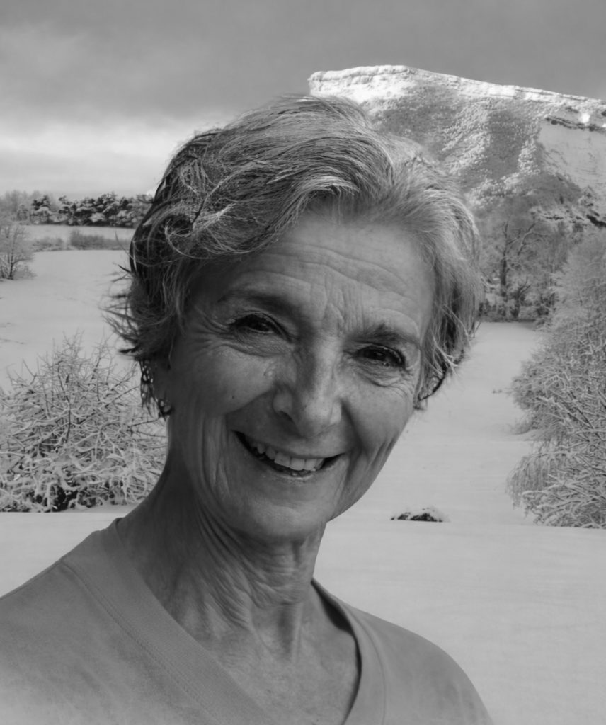 candidate municipales saint-firmin 2026